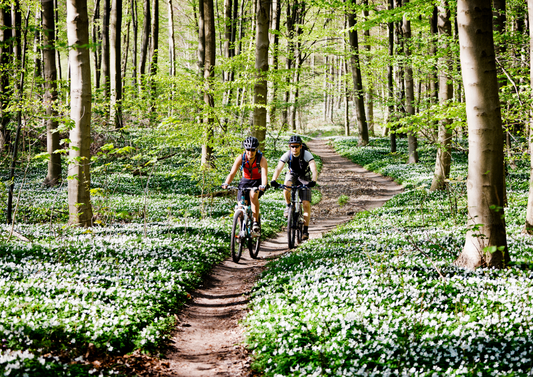 5 of the Best Hardtail Mountain Bikes for Under £1000