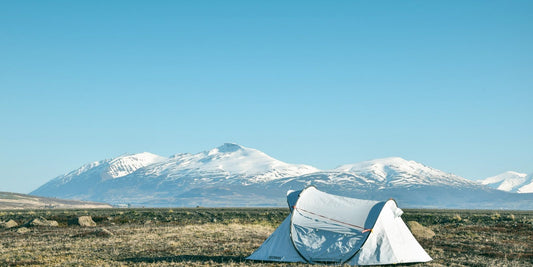 What Food to Take Camping - The Essential Guide