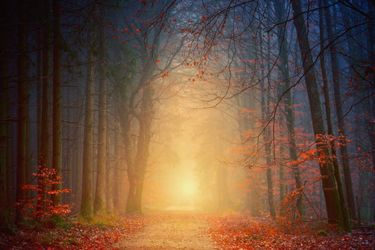 Wild Camping in Autumn – see the amazing Autumn colours