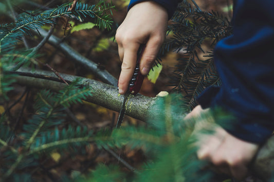 A knife is a handy tool to help cut firewood and skin animals