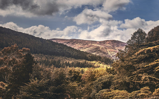 Beautiful natural landscapes like this must be preserved