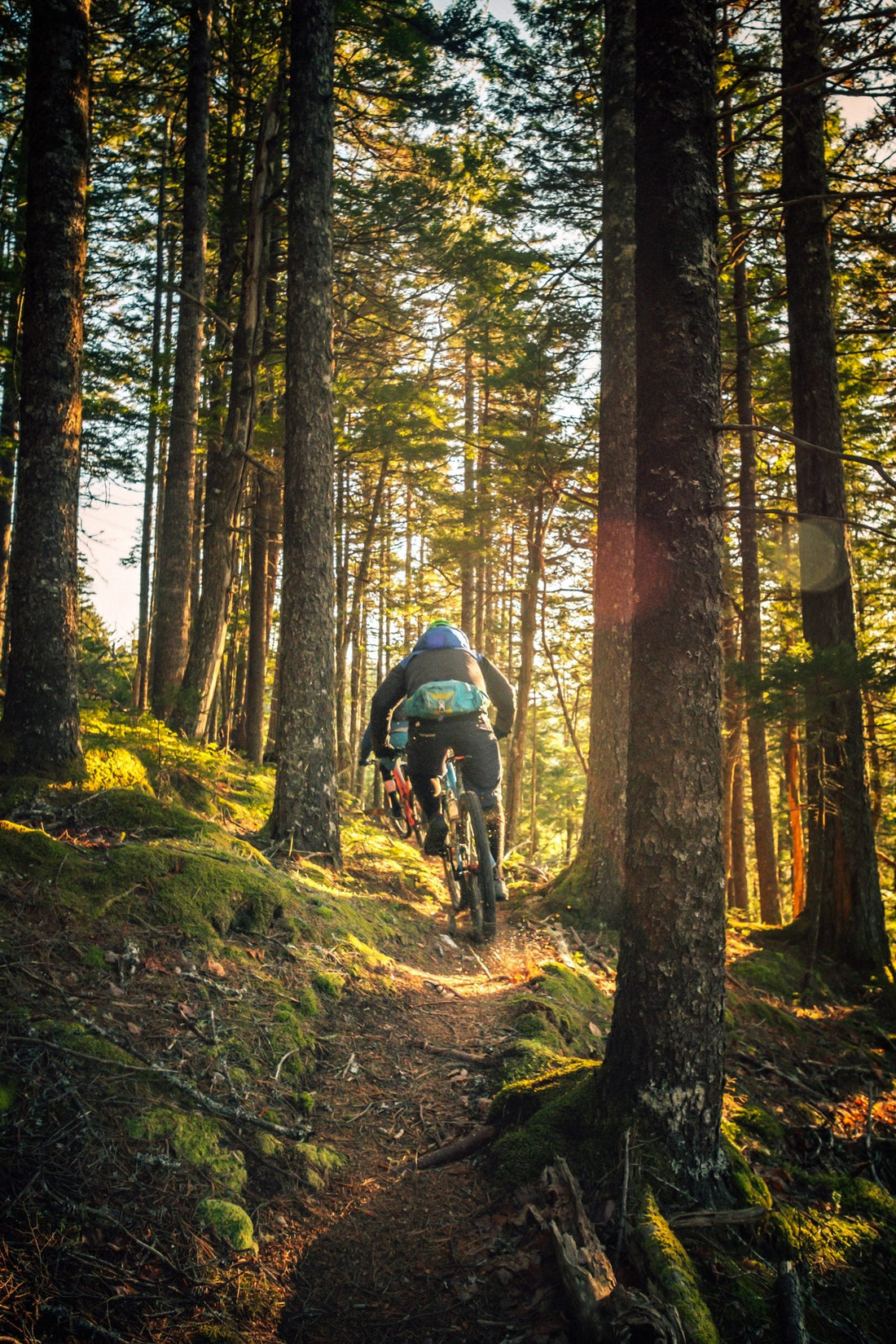 Best Mountain Bike Trail Centres in Wales