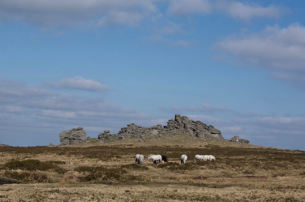 Rock formations in Dartmoor