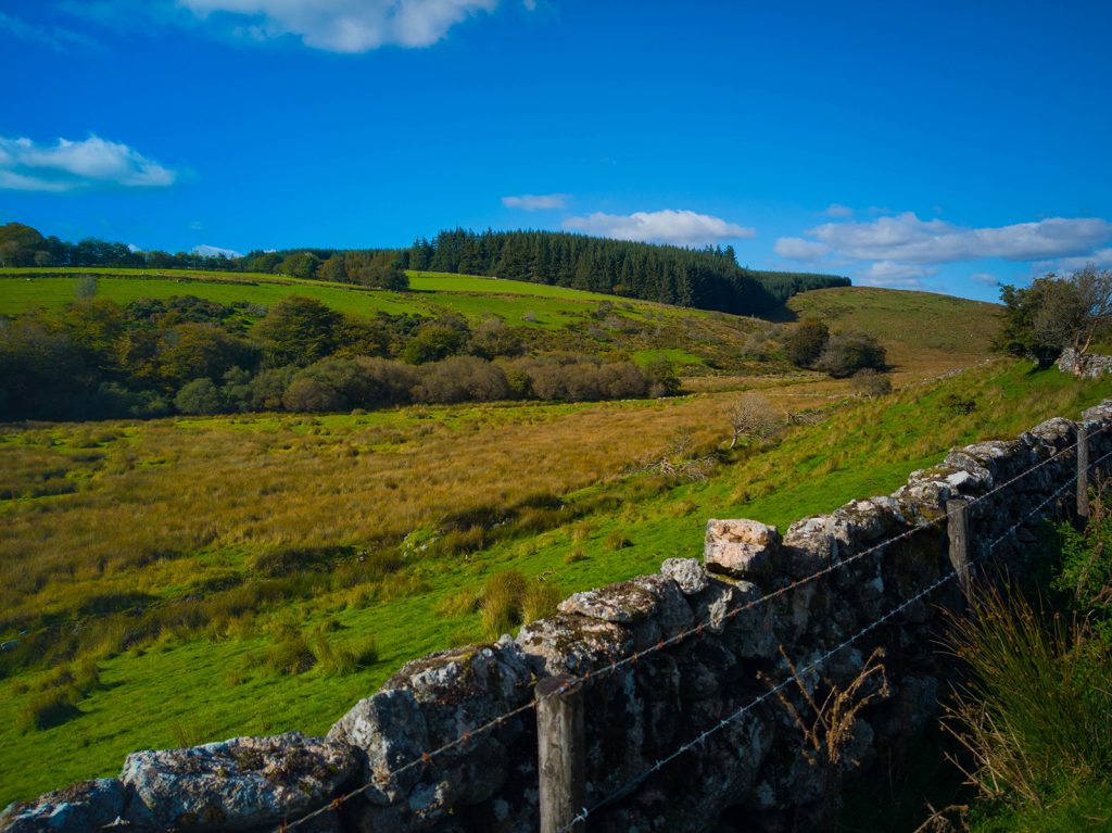 The beautiful countryside of Dartmoor