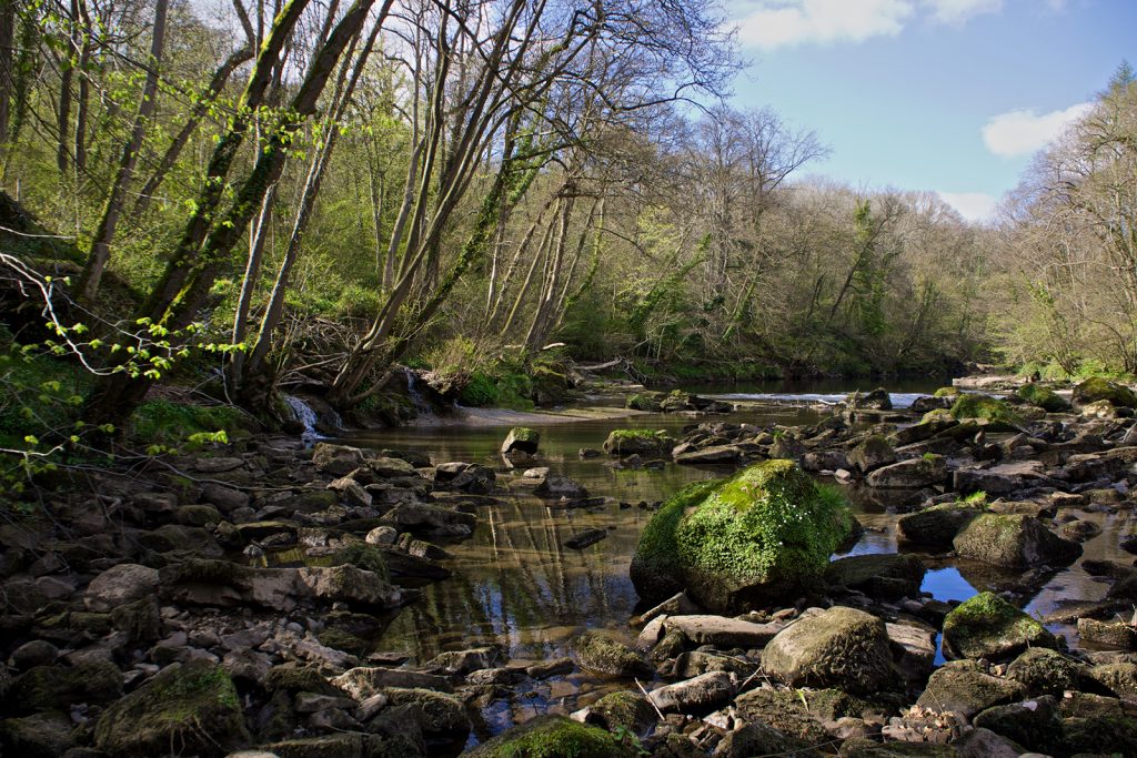 A manmade stream running through Hackfall Forest